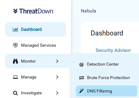 DNS Activity SS.png
